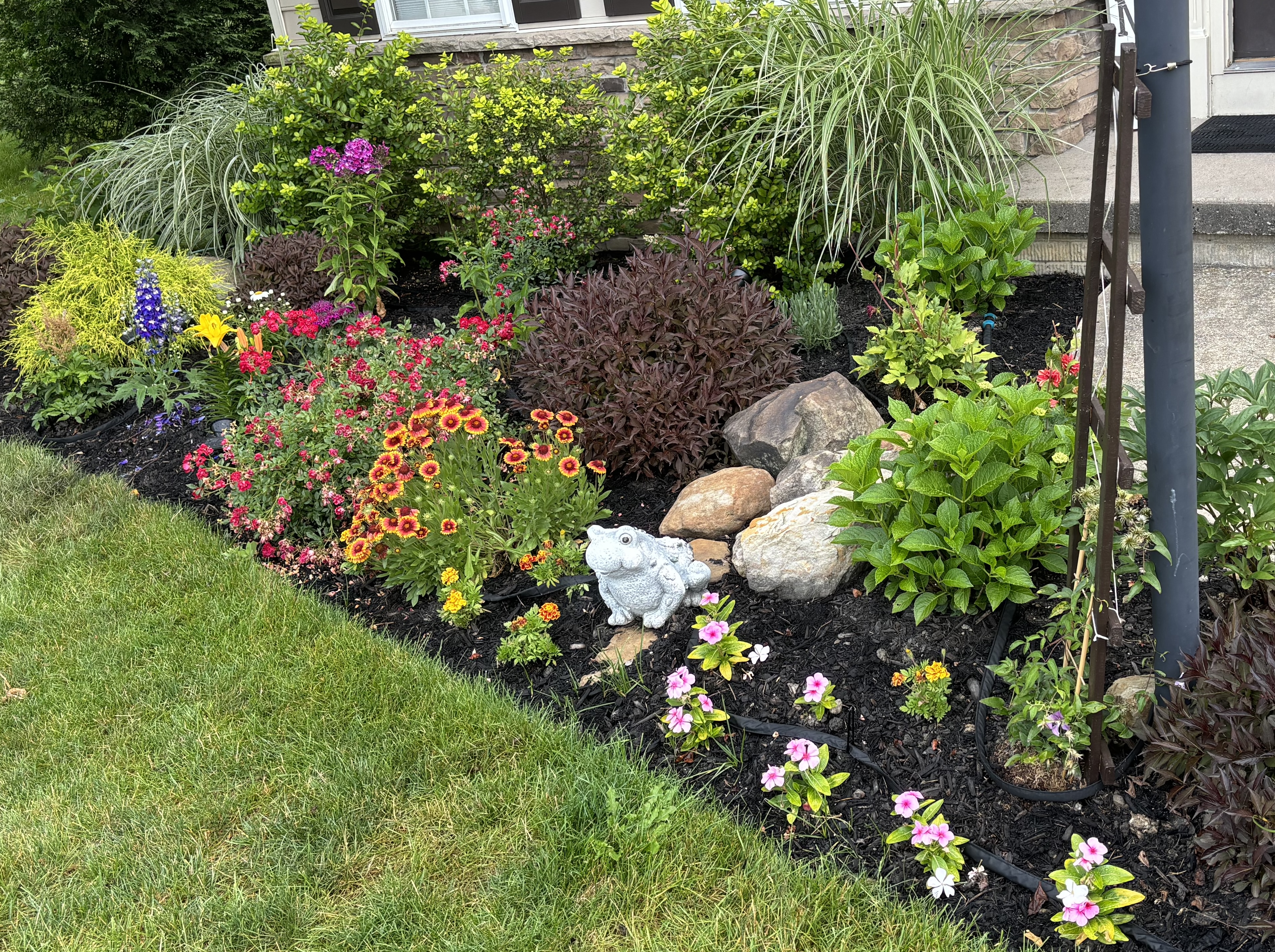 Image 4